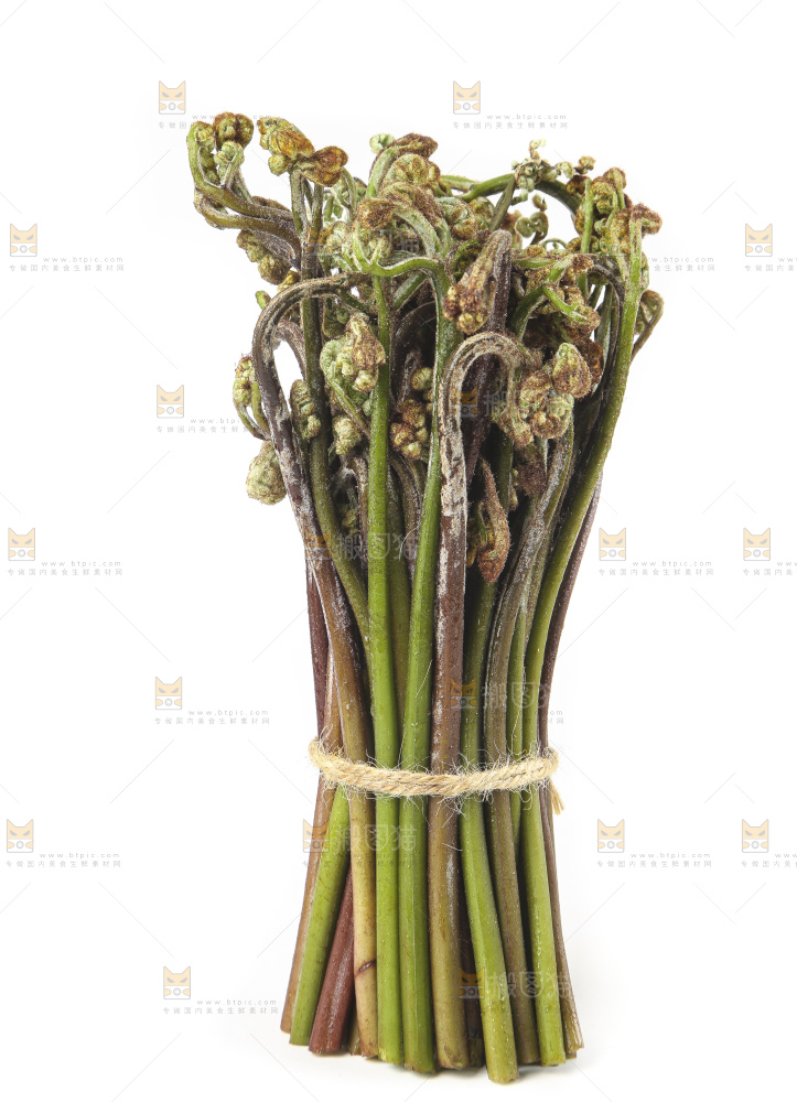 白底上放着野生蕨菜