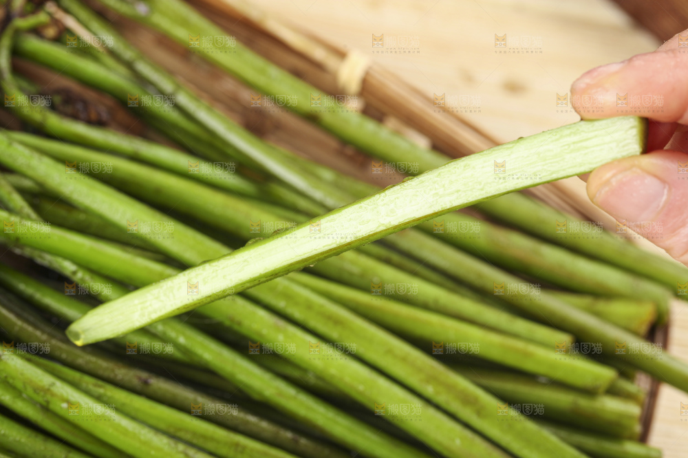 手里拿着蕨菜