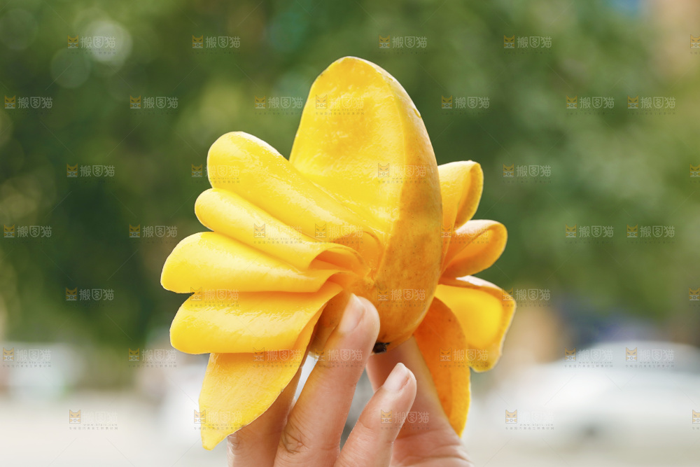 手里拿着切开的小台芒