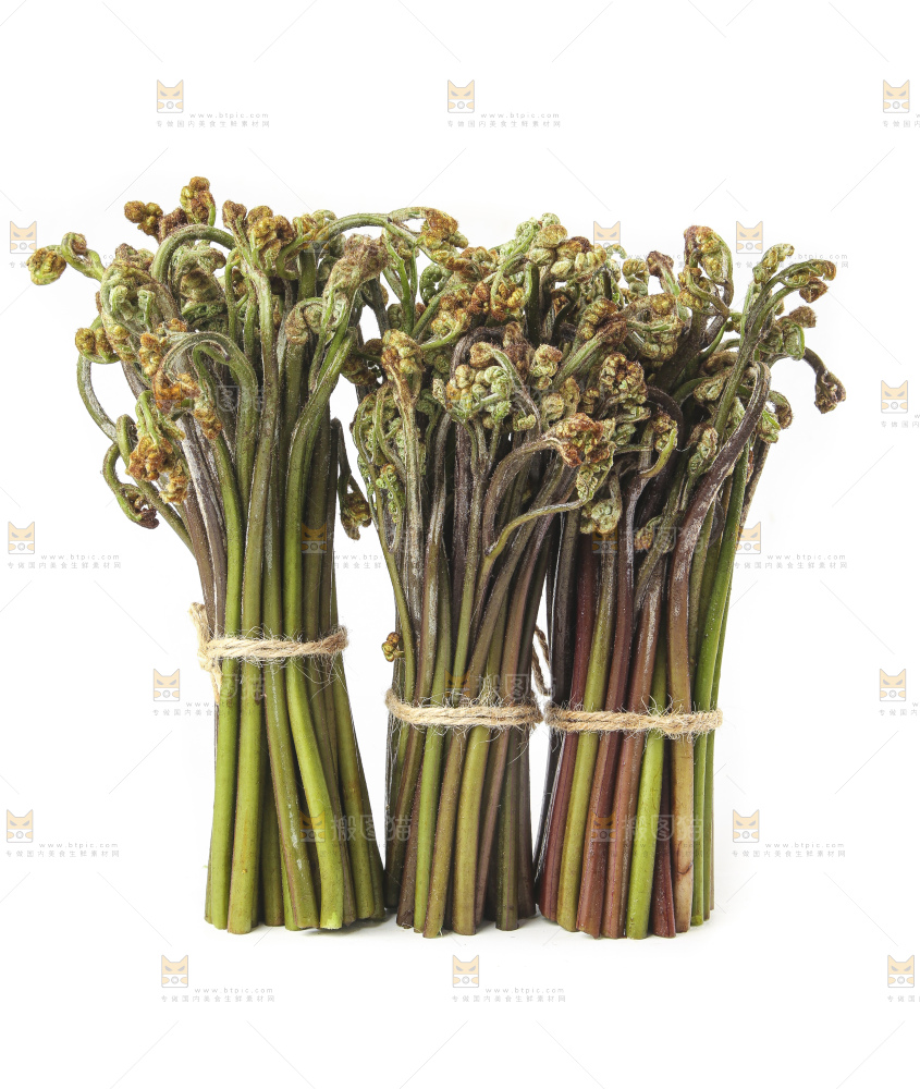 白底上放着野生蕨菜