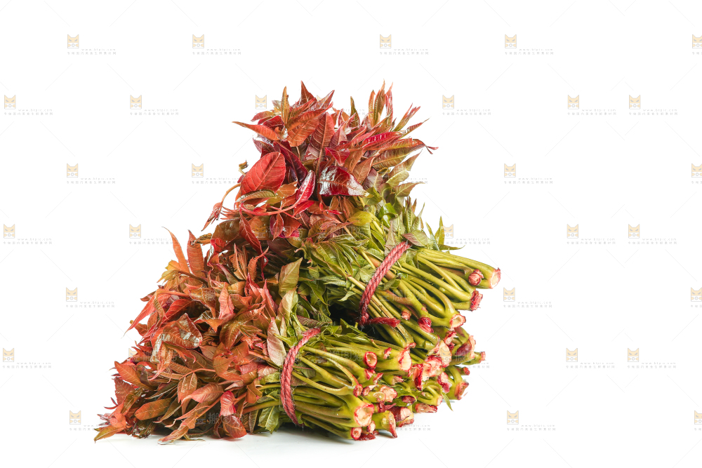 一堆新鲜香椿芽