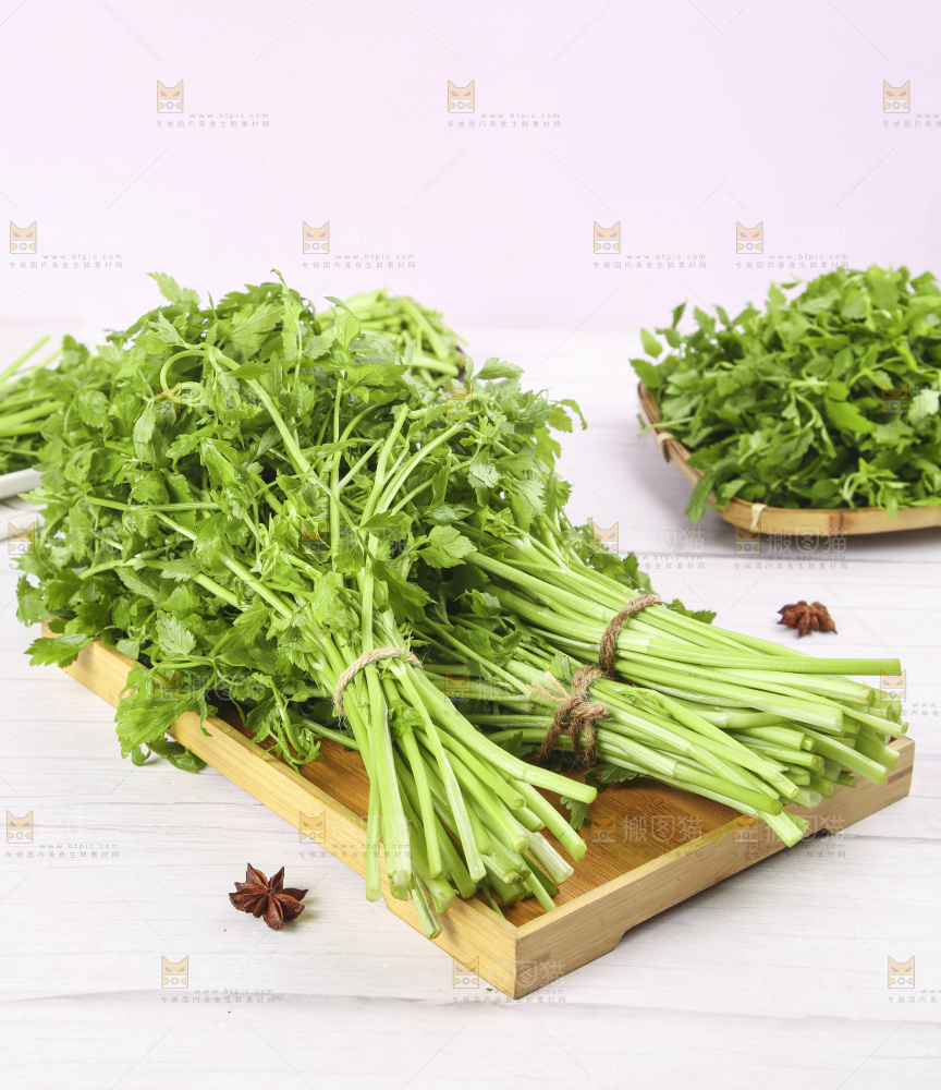 一盘湖南新鲜水芹菜