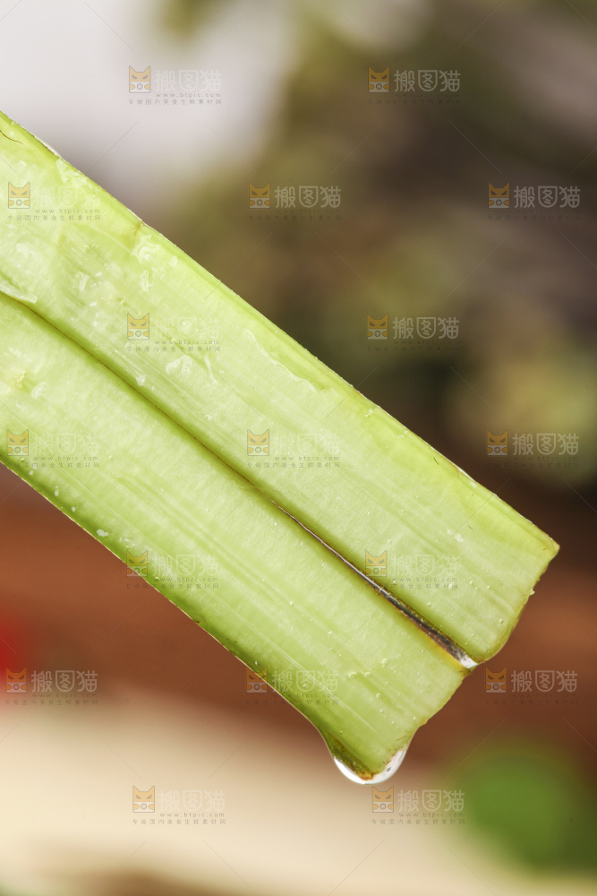 手里拿着蕨菜