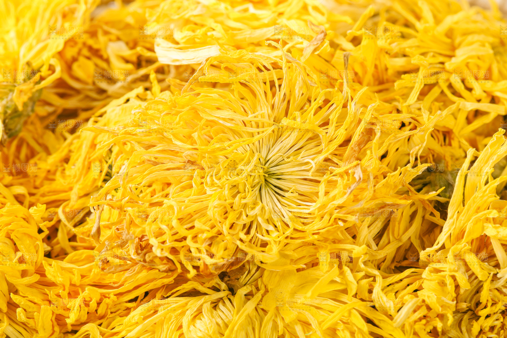 一堆金丝皇菊茶