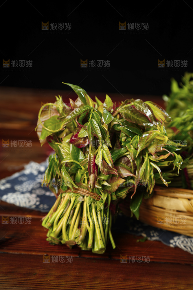 木底上的野生香椿