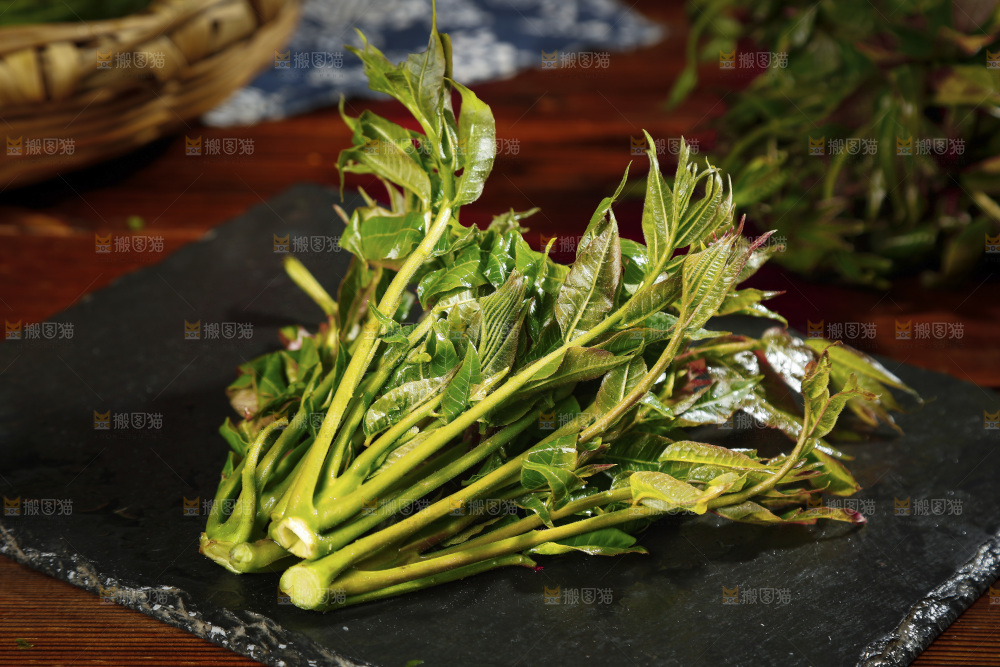 黑石底上摆放着香椿芽