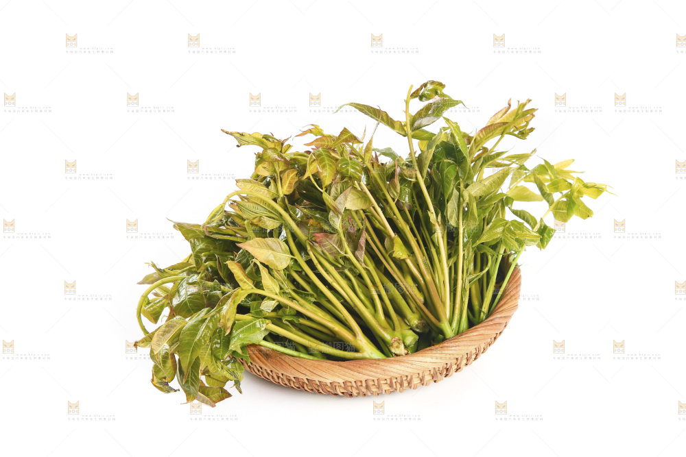 一篮香椿嫩芽