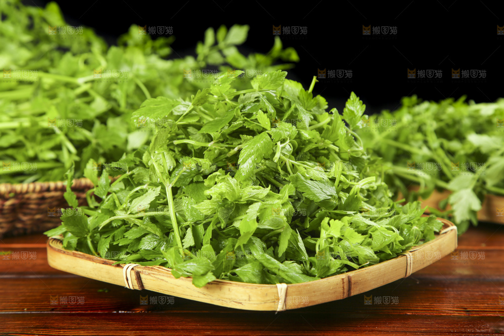 篮子里装着水芹