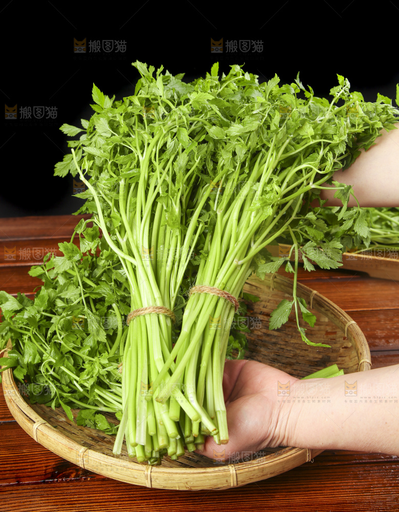 手里拿着野芹菜