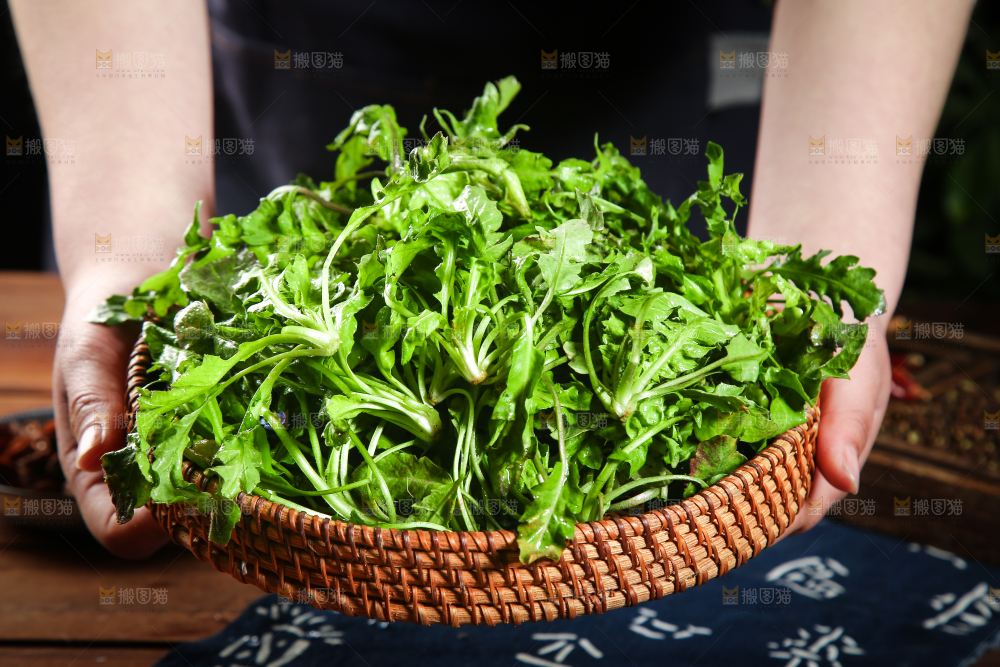 手里端着一篮新鲜地菜