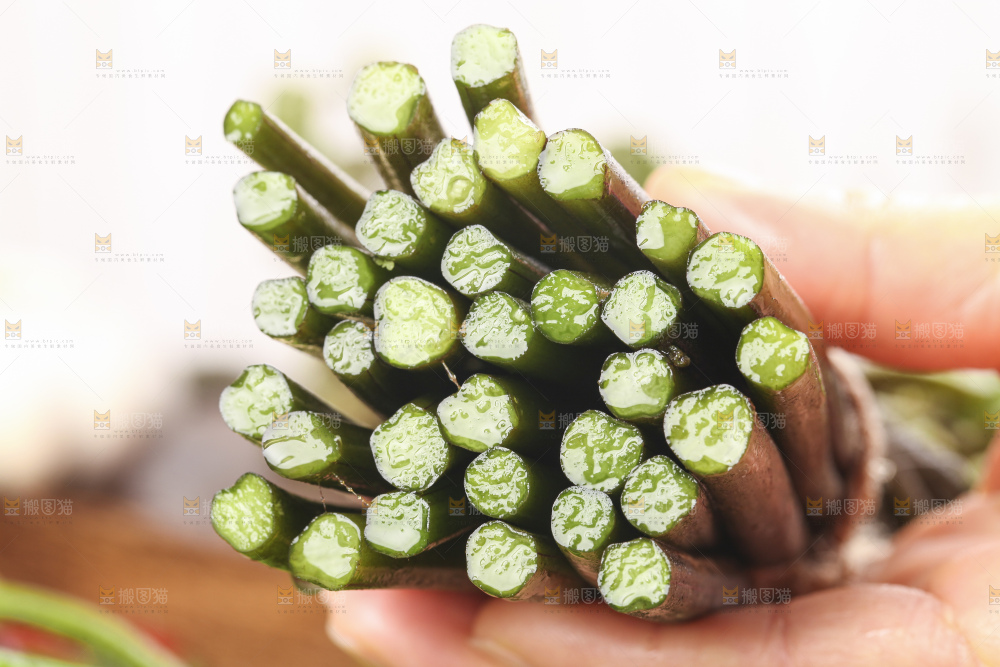 手里拿着蕨菜