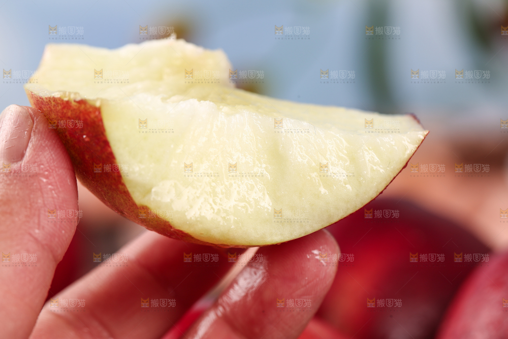手里拿着一块白心油桃果肉