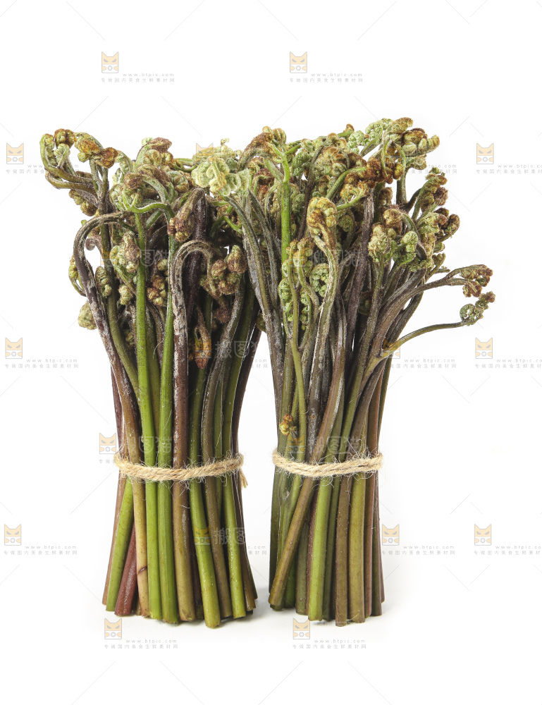 白底上放着野生蕨菜