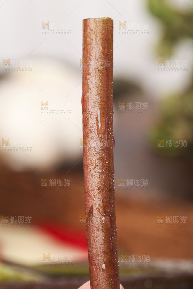 手里拿着蕨菜
