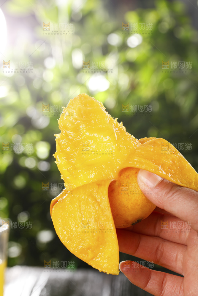 手里拿着小台芒