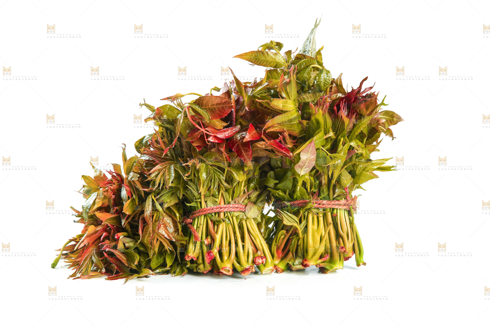 一堆新鲜香椿芽