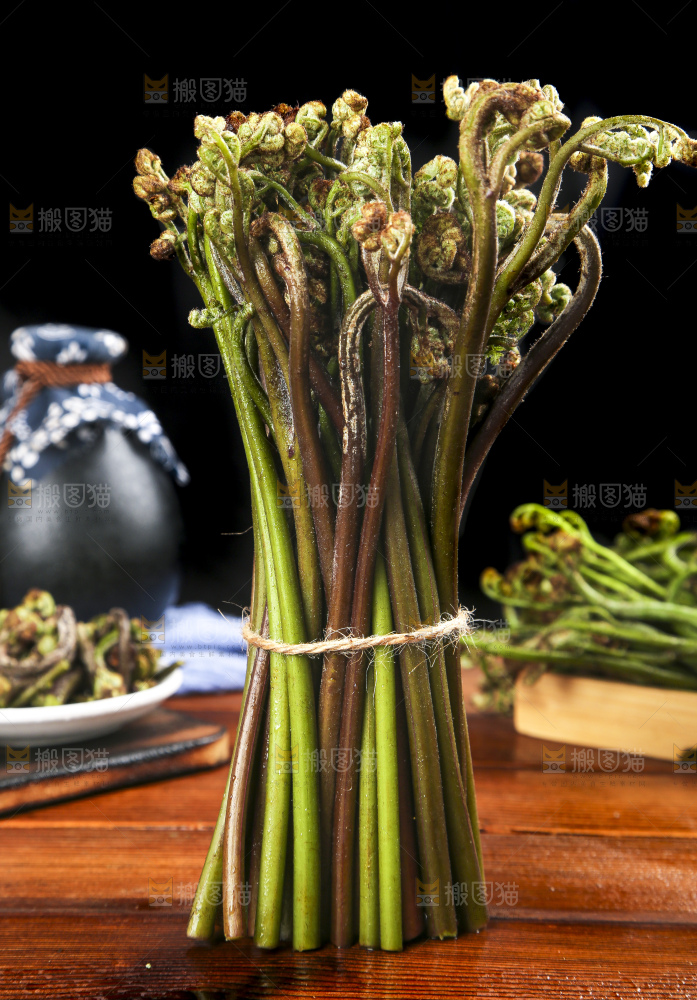木底上的蕨菜