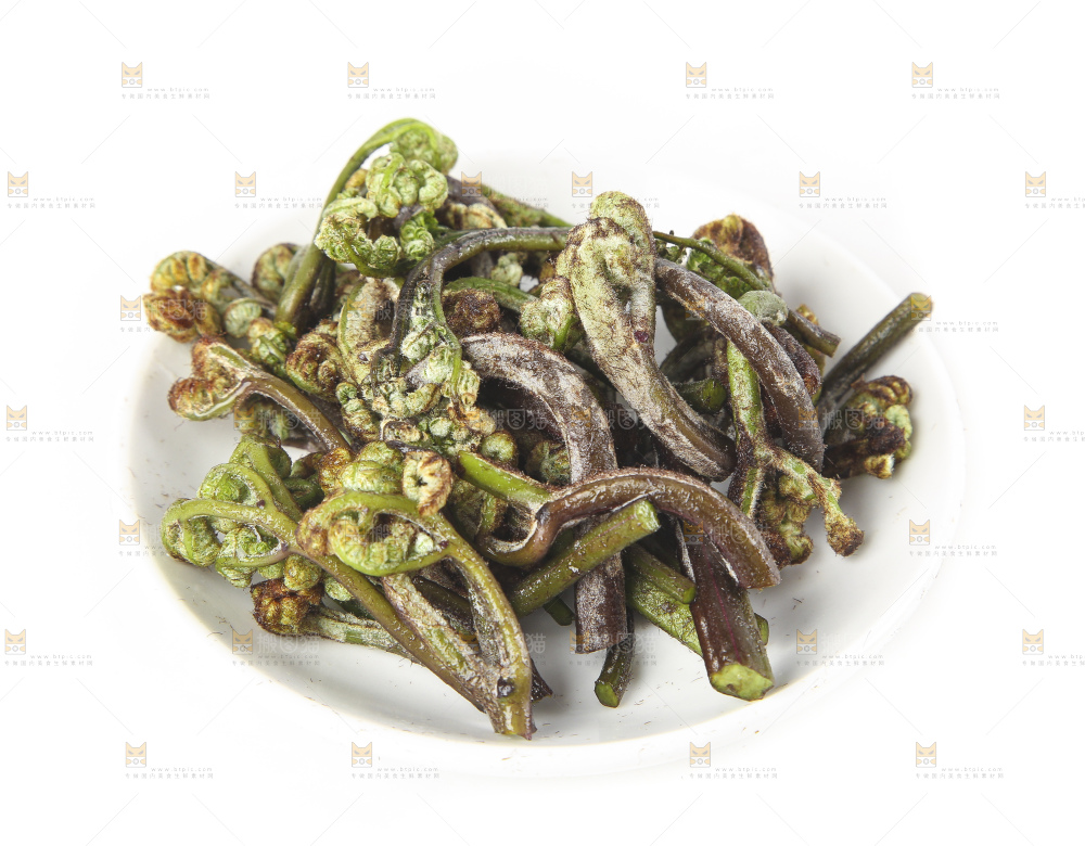 一盘蕨菜摆放在白底上