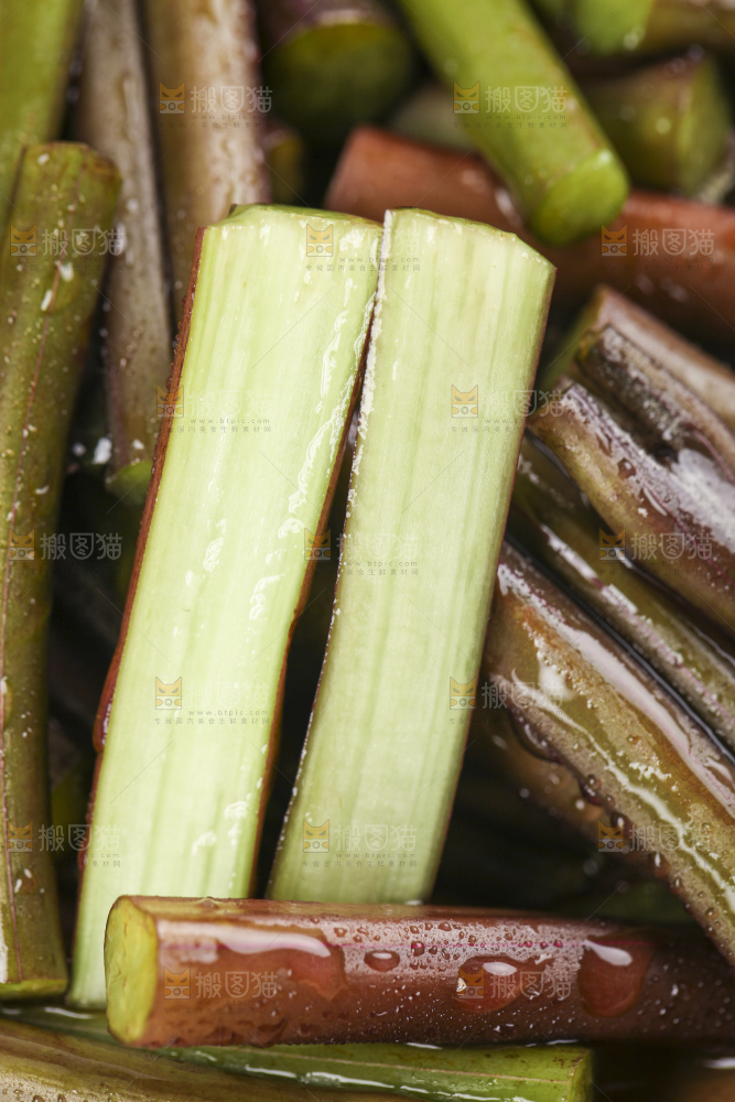 一堆贵州蕨菜
