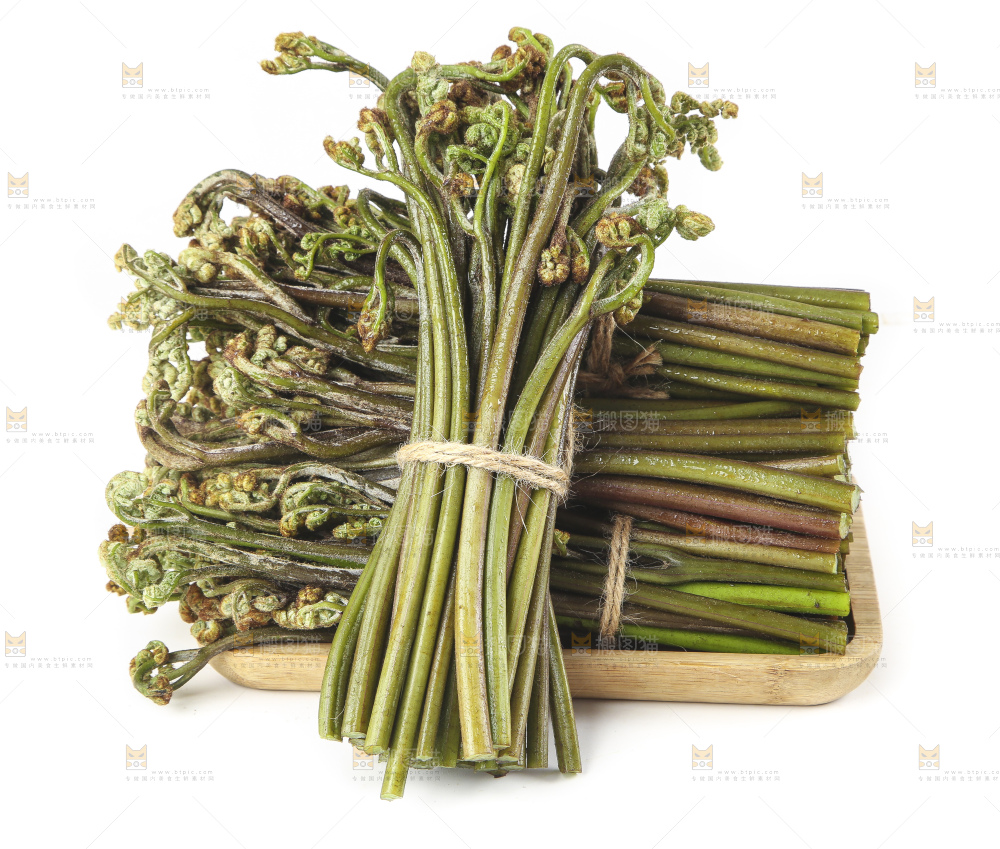 一盘蕨菜摆放在白底上
