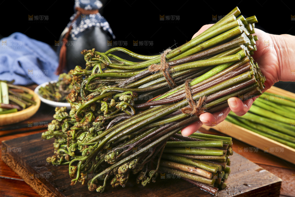 手里拿着蕨菜