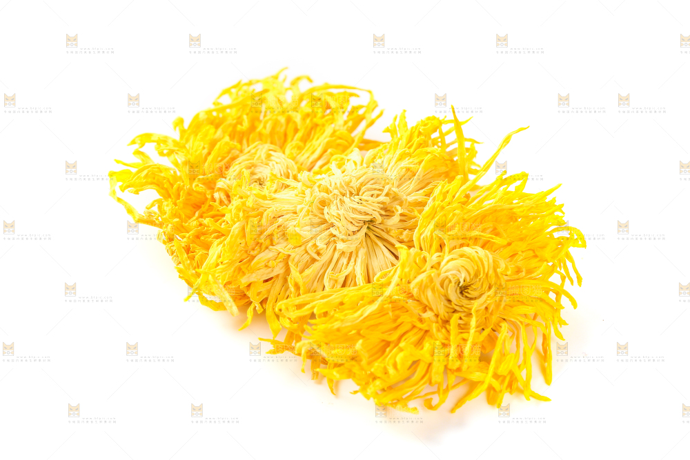 白底上放着金丝皇菊