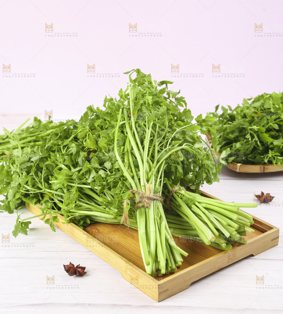 一盘湖南新鲜水芹菜