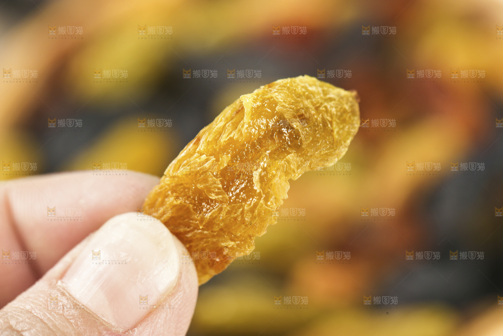 手里拿着树上黄葡萄干
