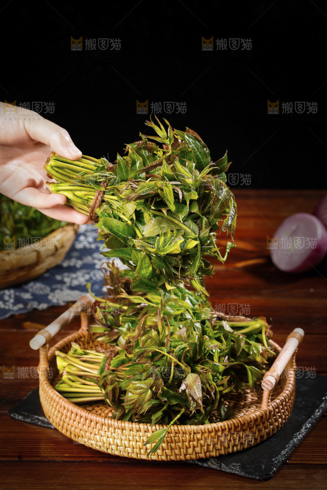 手里拿着头茬香椿芽