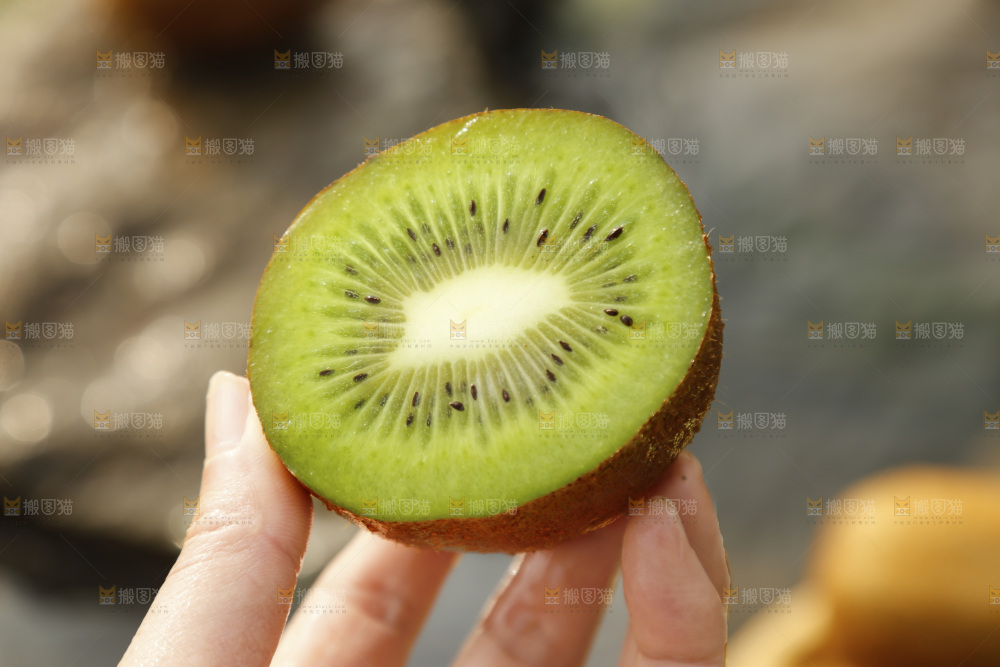 手里拿着绿心奇异果
