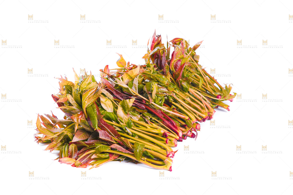 白底上放着头茬香椿