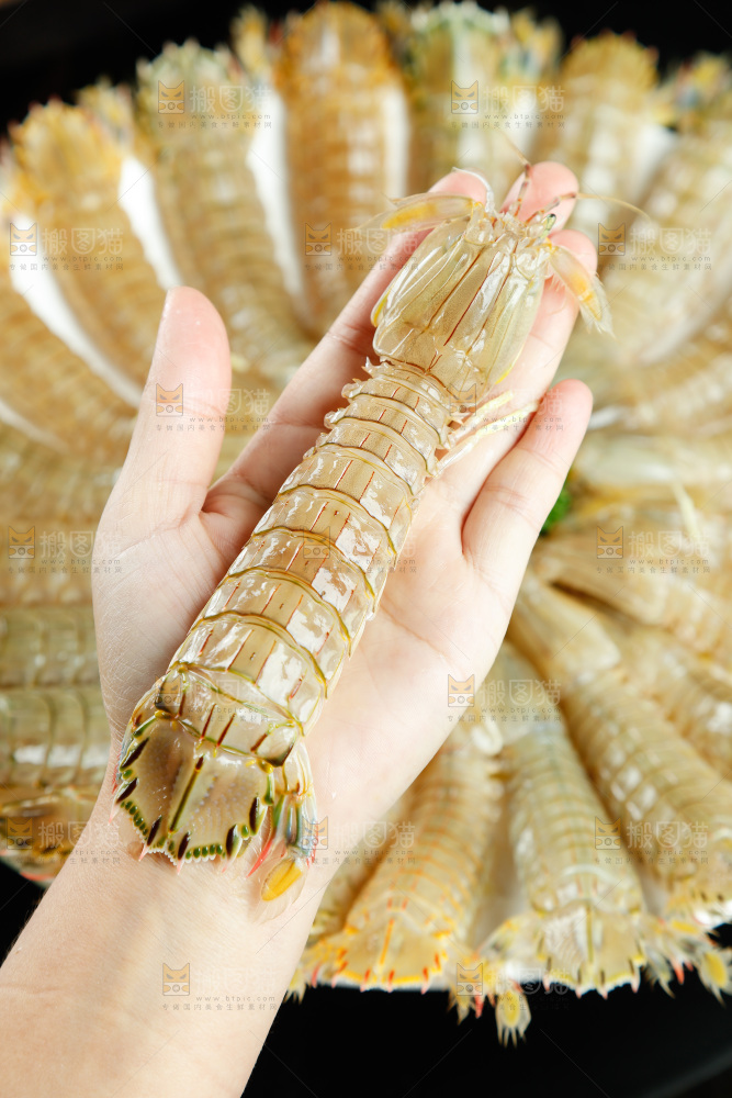 手里拿着鲜活皮皮虾