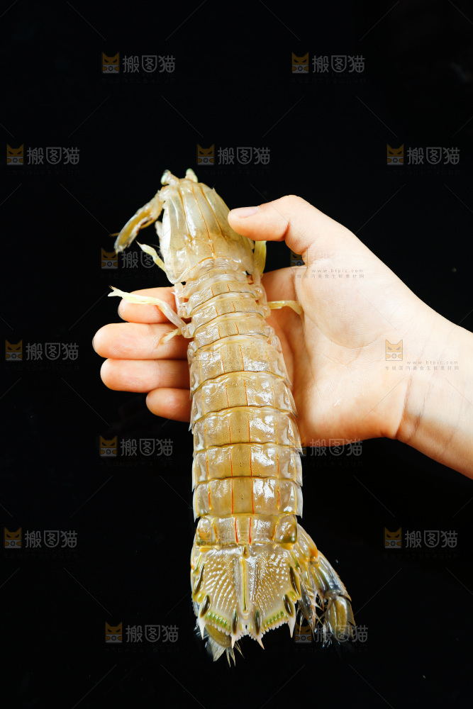 手里拿着皮皮虾