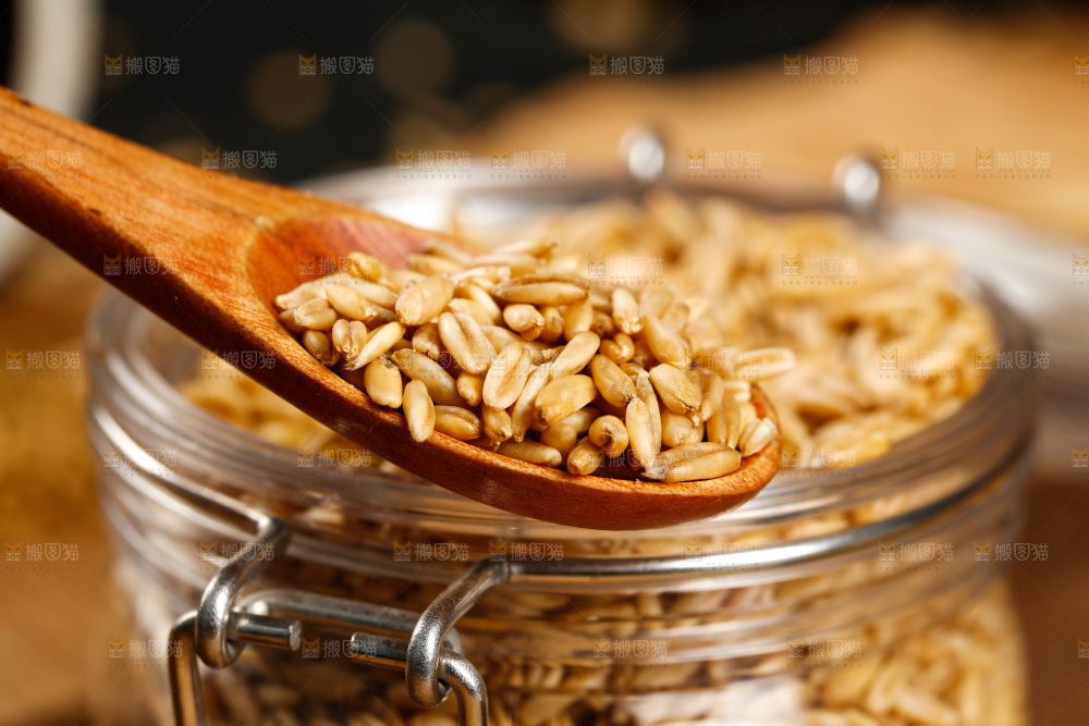 勺子上舀着燕麦仁