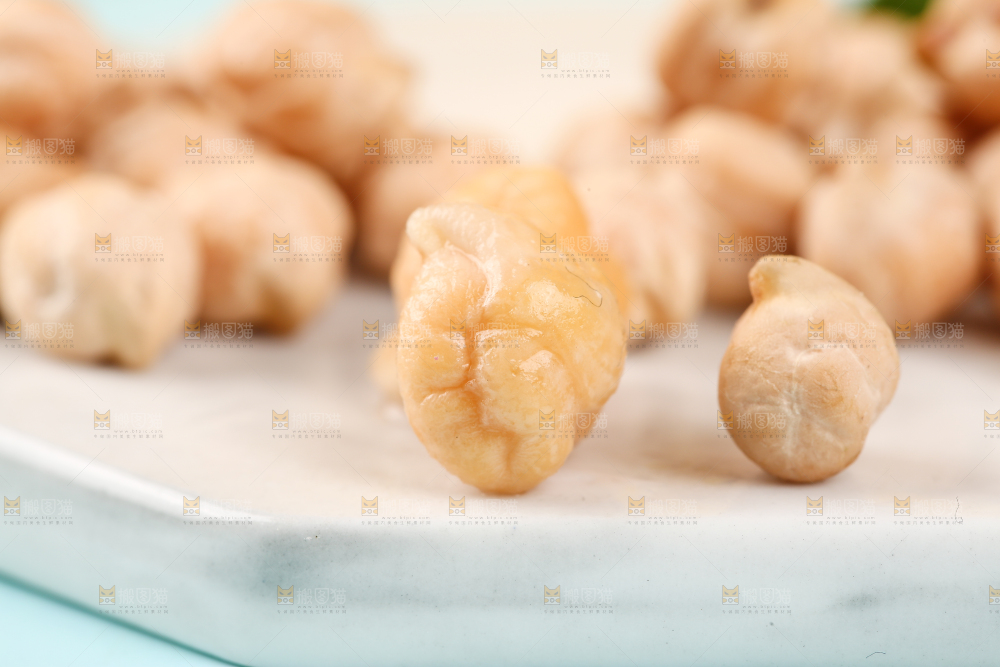 石垫上的鹰嘴豆