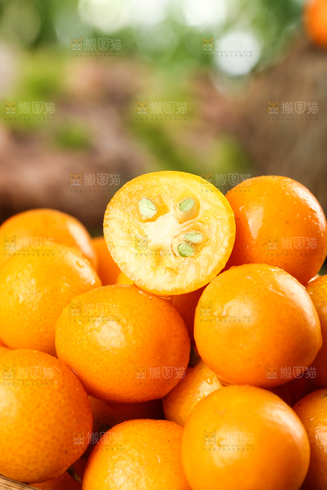 一堆广西小金桔