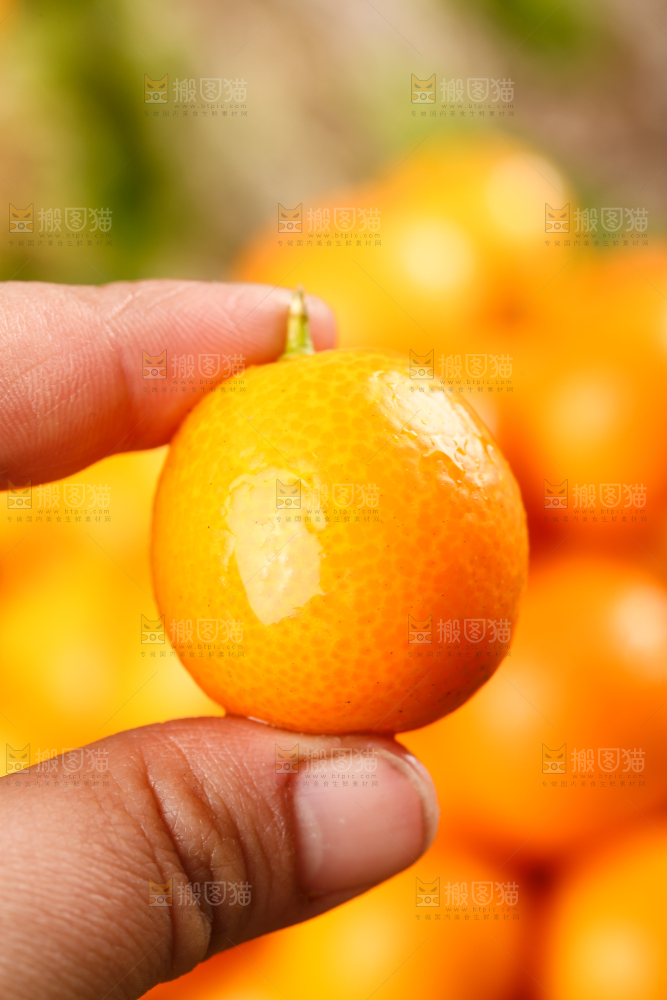 手里拿着金桔