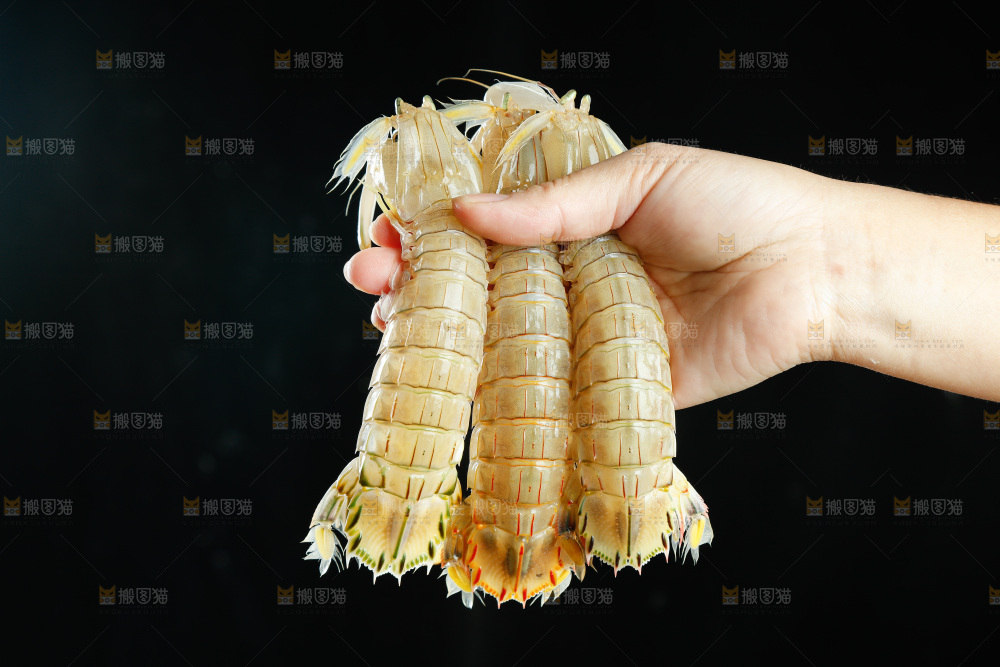 手里拿着皮皮虾