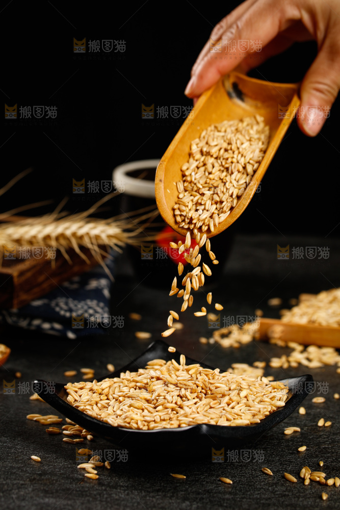 竹勺里舀着燕麦仁