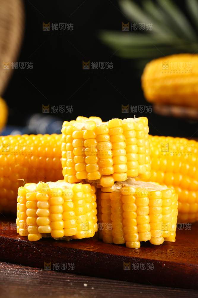 木板上的东北黄糯玉米