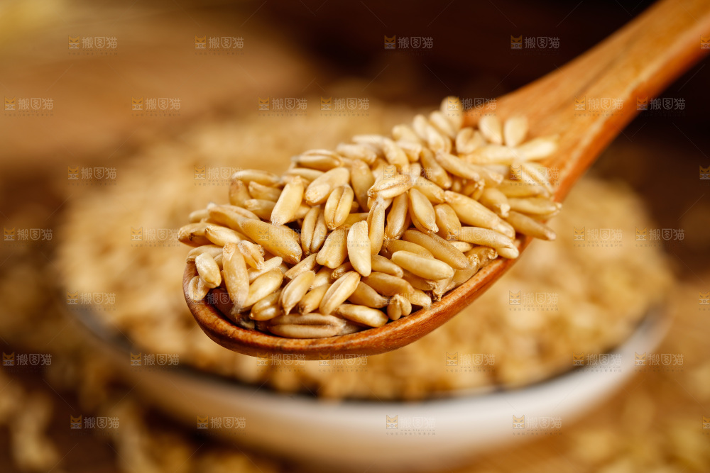 勺子上舀着燕麦仁