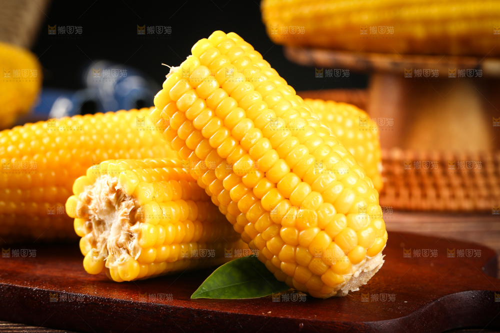 木板上的东北黄糯玉米
