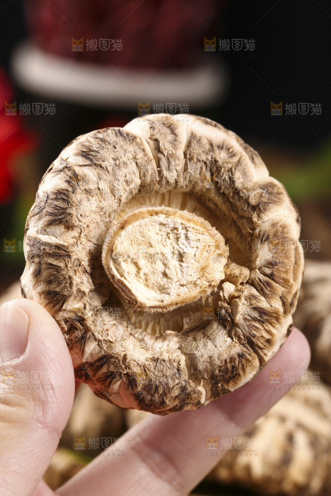 手里拿着花菇