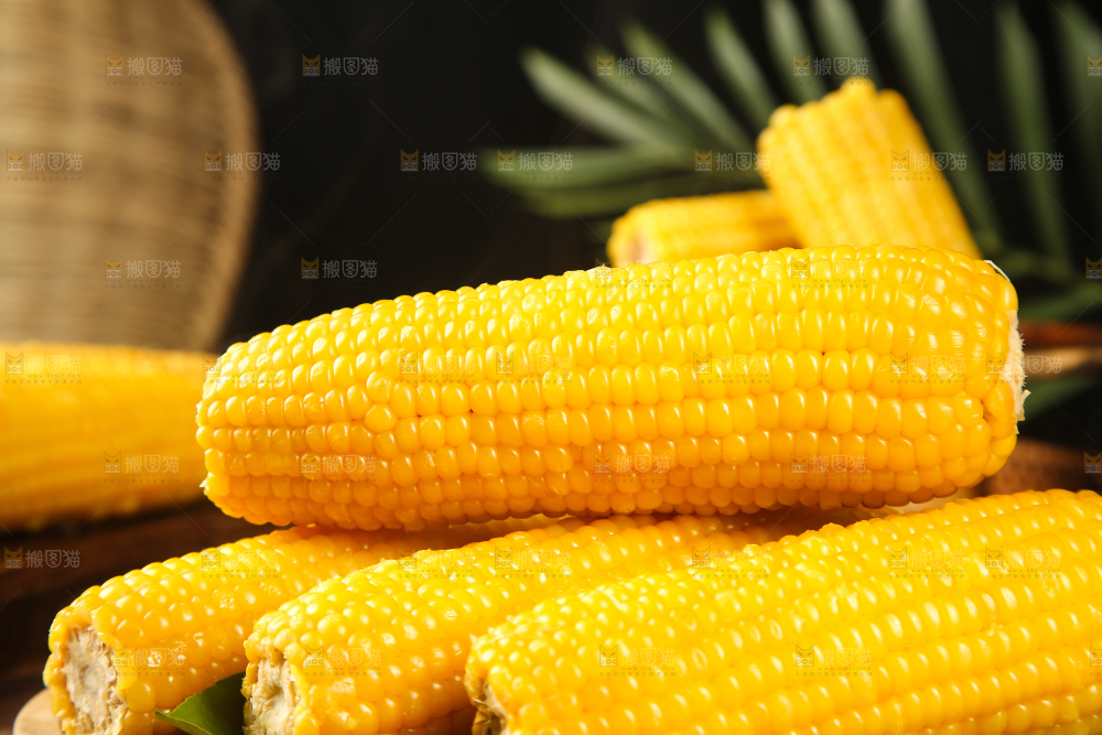 一堆玉米棒