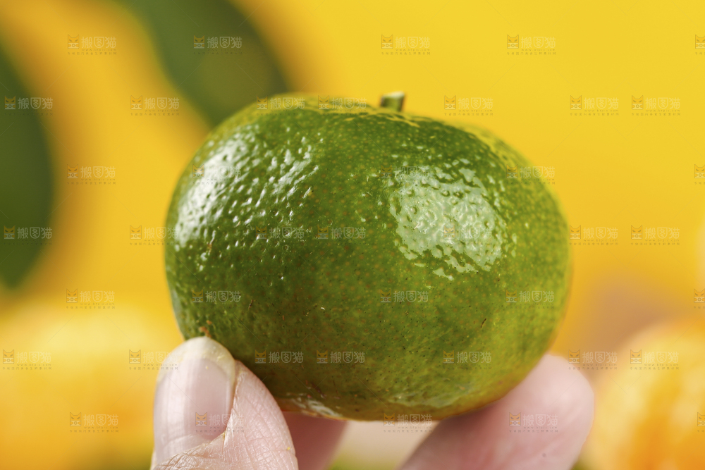 手里拿着青皮橘