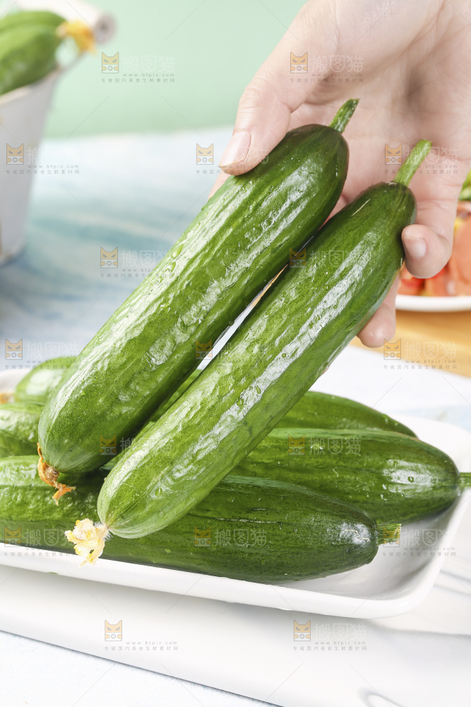 手里拿着无刺黄瓜