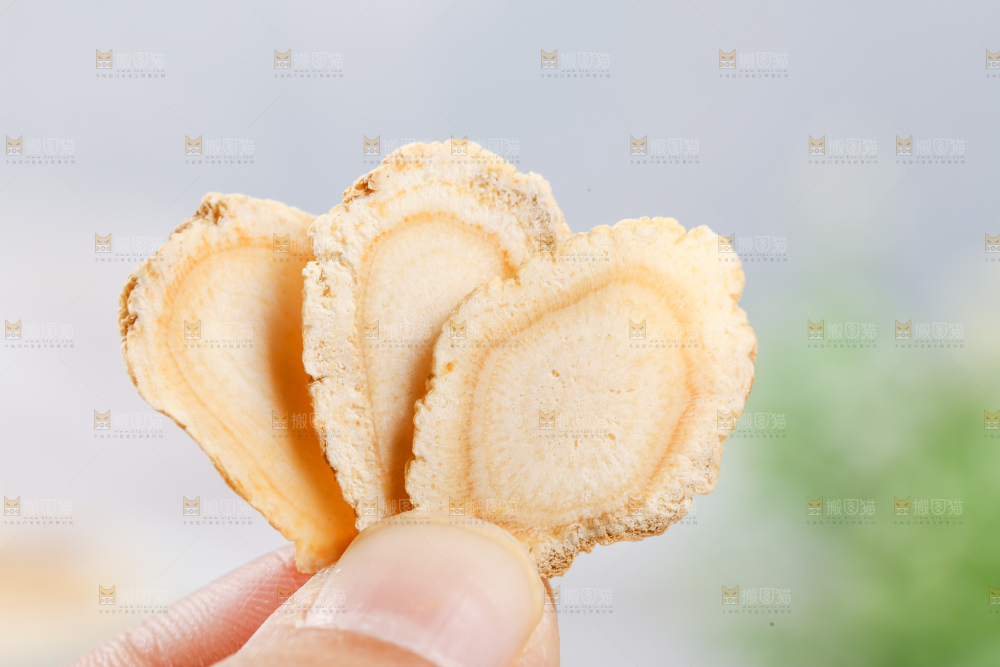 手里拿着长白山西洋参片