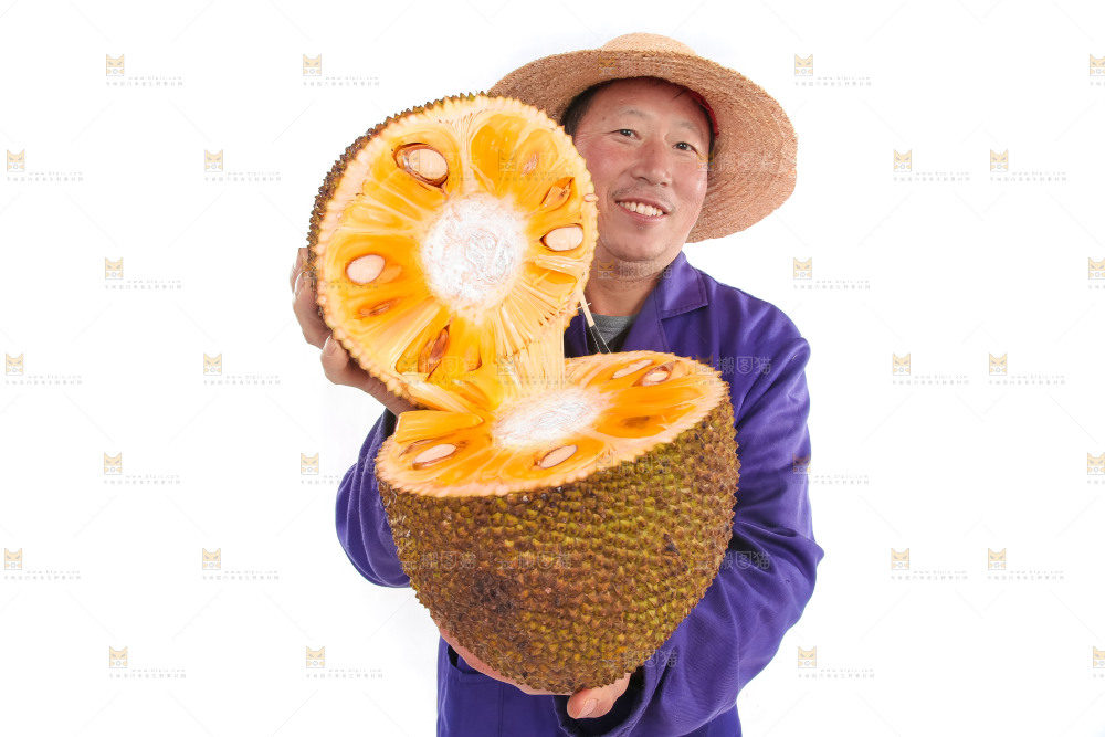 切开的红心菠萝蜜