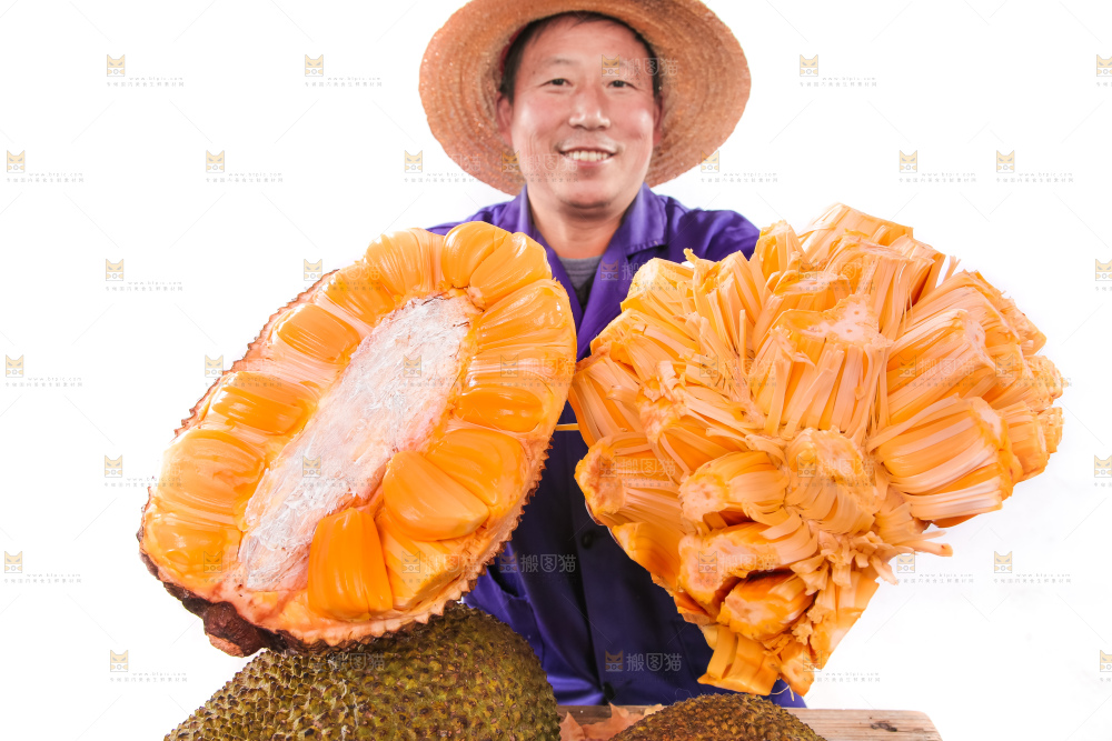 手里捧着红肉菠萝蜜