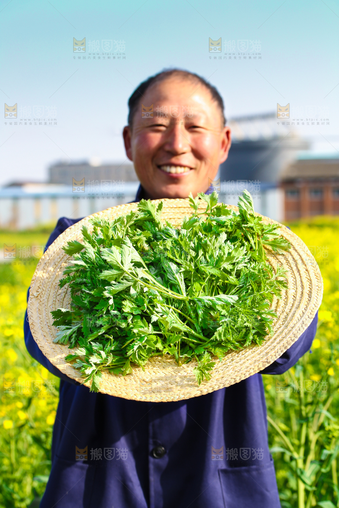 草帽里的艾叶